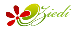 E-ZIEDI
