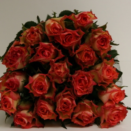 Ziedi - Rozes "Duett"