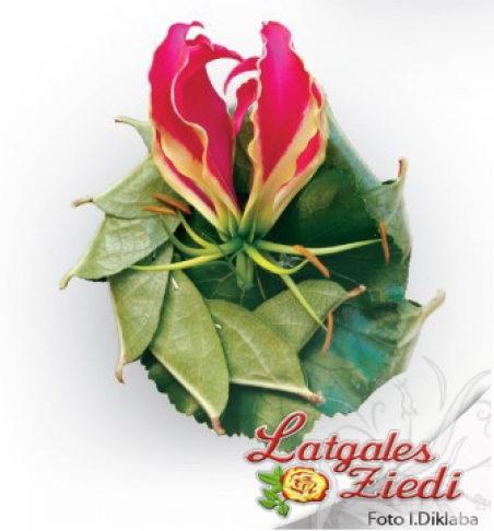 Ziedu piespraudes 004