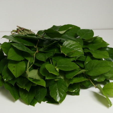 Zaļš pušķu noformējums "Salal"