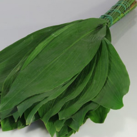 Zaļš pušķu noformējums "Aspidistra"